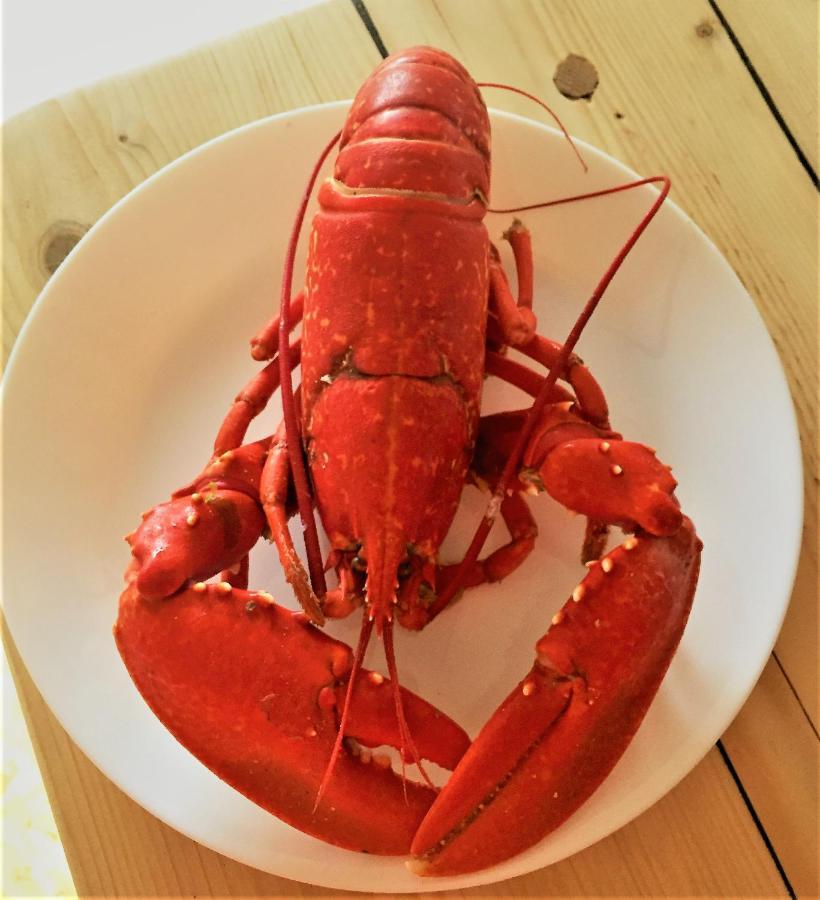 St Awaries Studio, Carne Rosslare Harbour Екстериор снимка