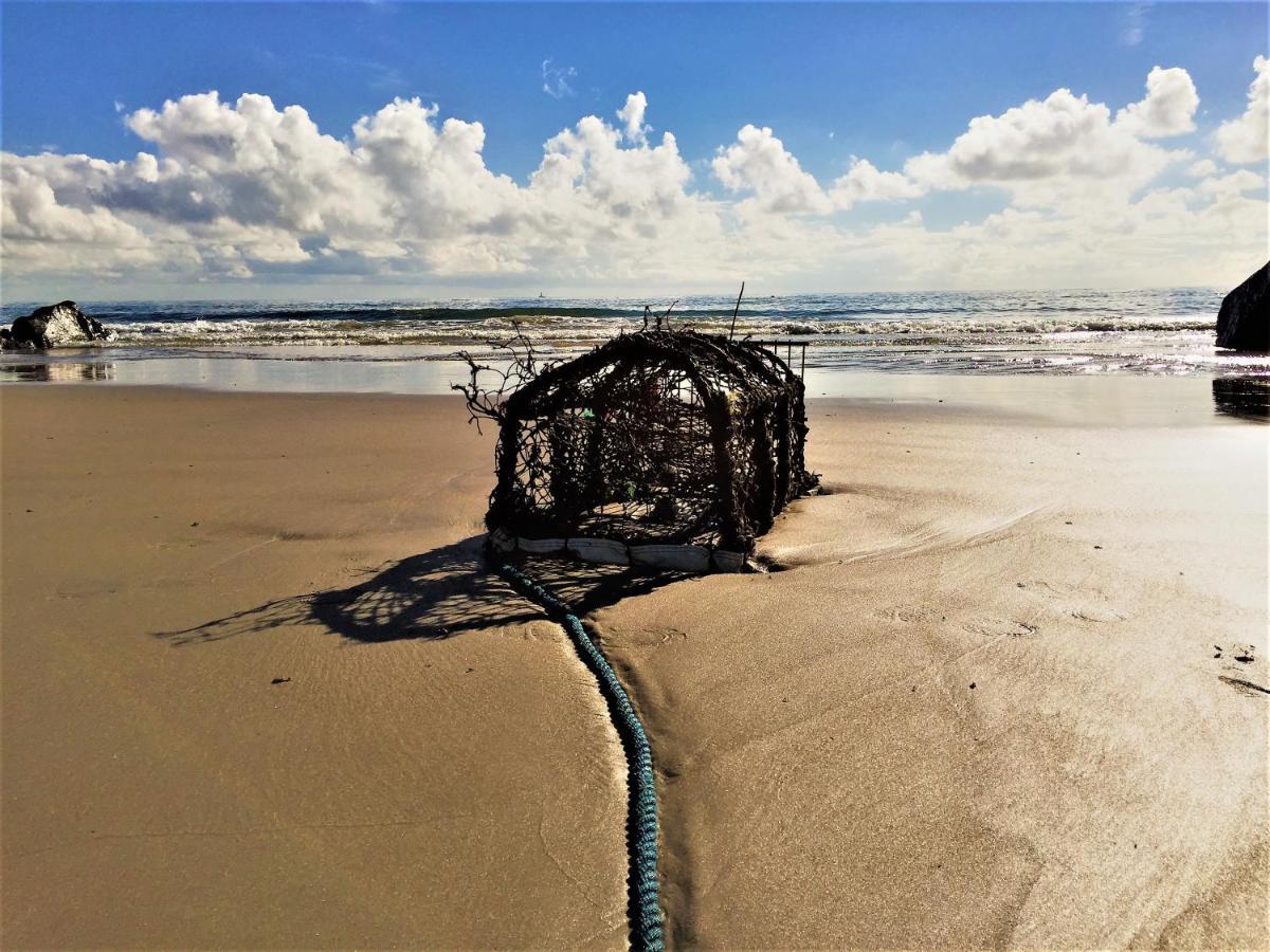 St Awaries Studio, Carne Rosslare Harbour Екстериор снимка