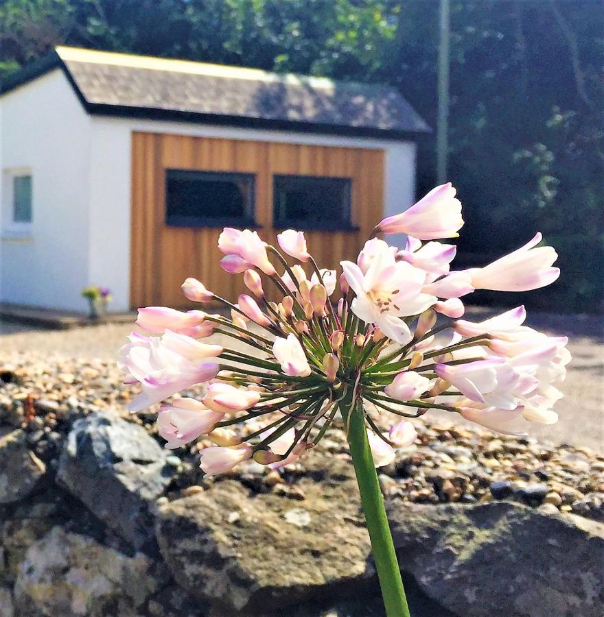 St Awaries Studio, Carne Rosslare Harbour Екстериор снимка
