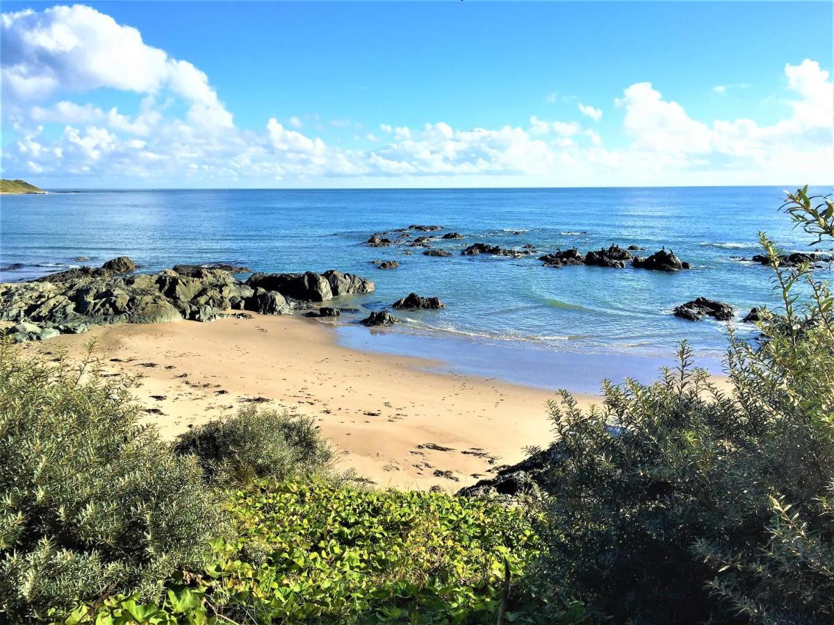 St Awaries Studio, Carne Rosslare Harbour Екстериор снимка